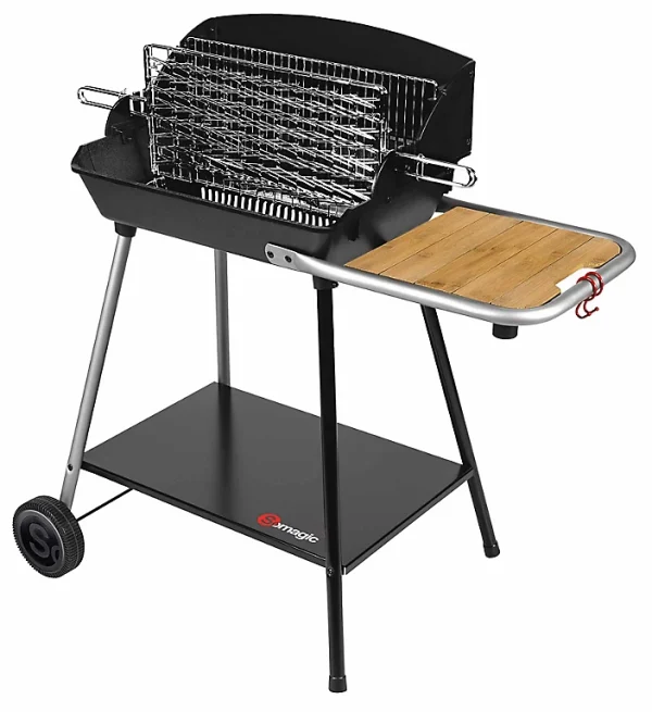 beauté Castorama Barbecue Charbon De Bois Exel Duo Grill 1