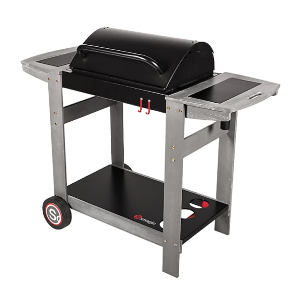 bas prix Castorama Barbecue Charbon De Bois Indiana 1